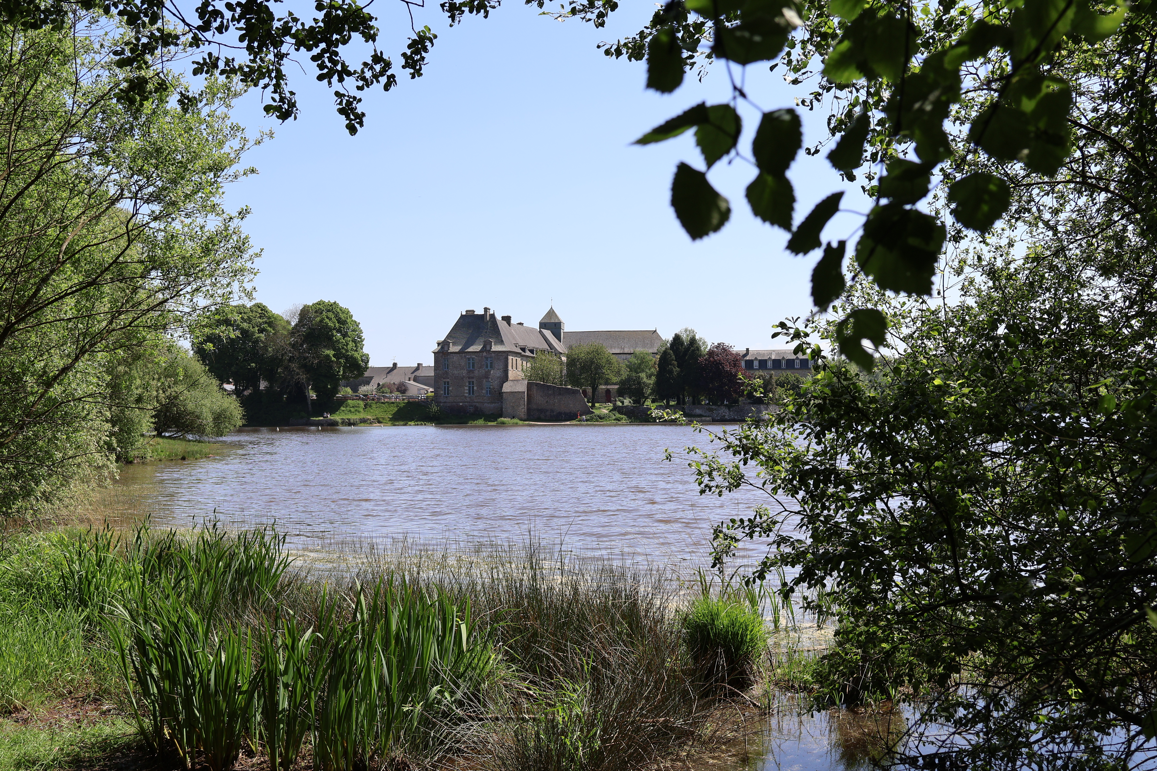 forêt de Brocéliande